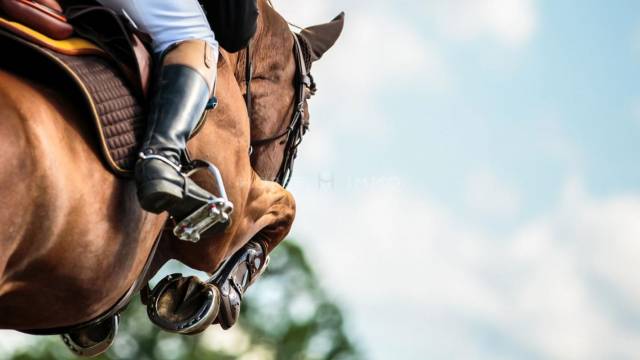 Propriet&agrave; equestre In vendita Bouches-du-Rh&ocirc;ne