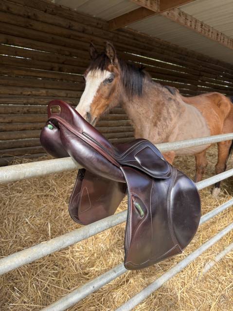 Sella da salto ostacoli Amerigo  17.5" - 2019