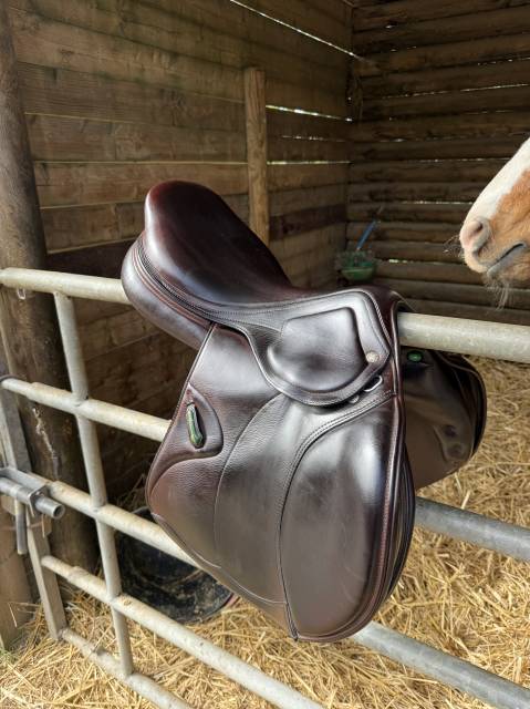 Sella da salto ostacoli Amerigo  17.5" - 2019