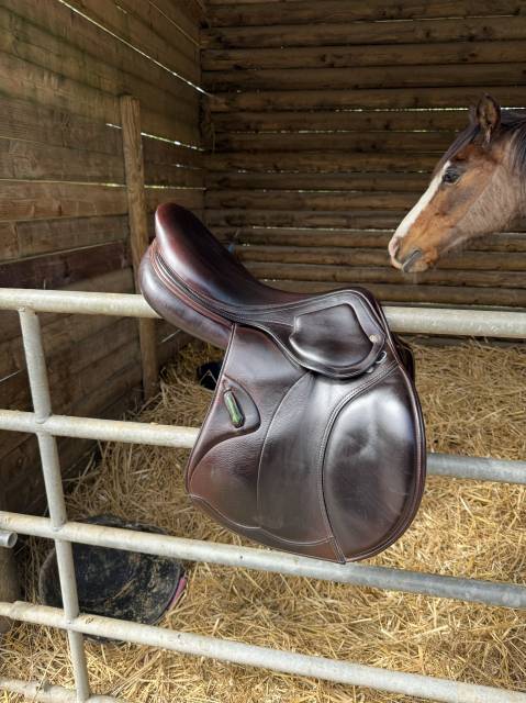 Sella da salto ostacoli Amerigo  17.5" - 2019