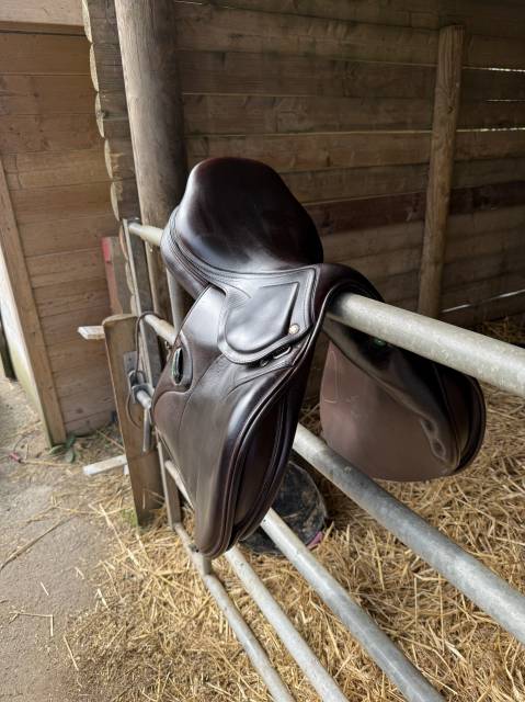 Sella da salto ostacoli Amerigo  17.5" - 2019