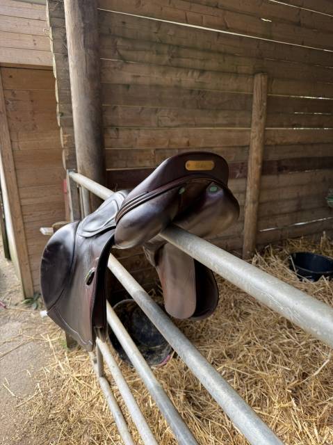 Sella da salto ostacoli Amerigo  17.5" - 2019