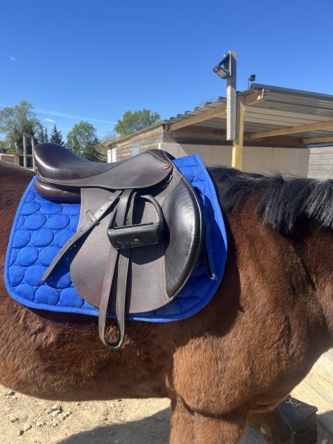 Sella mista Eric Thomas  17" - 2016