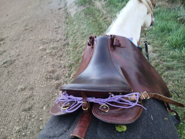 Sella da trekking JMS Nomade 17" - 2020