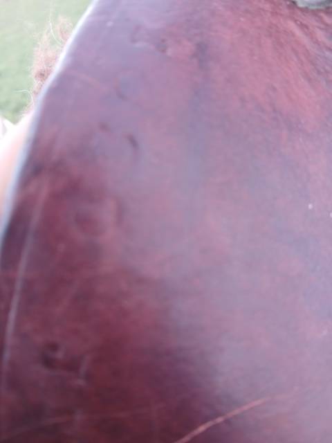 Sella da trekking JMS Nomade 17" - 2020