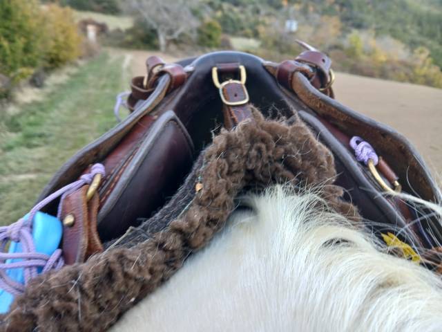 Sella da trekking JMS Nomade 17" - 2020