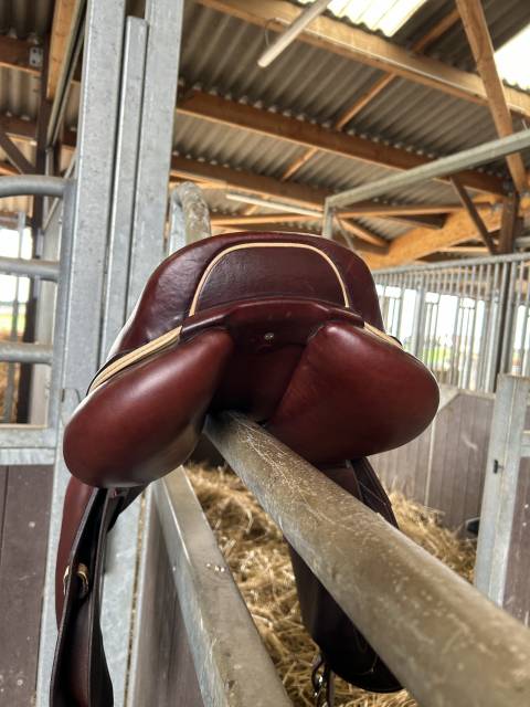 Sella da salto ostacoli CWD  17.5" - 2021