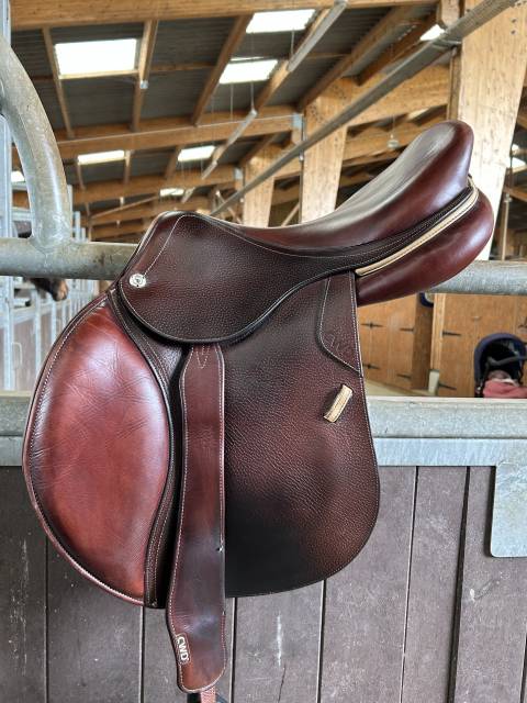 Sella da salto ostacoli CWD  17.5" - 2021