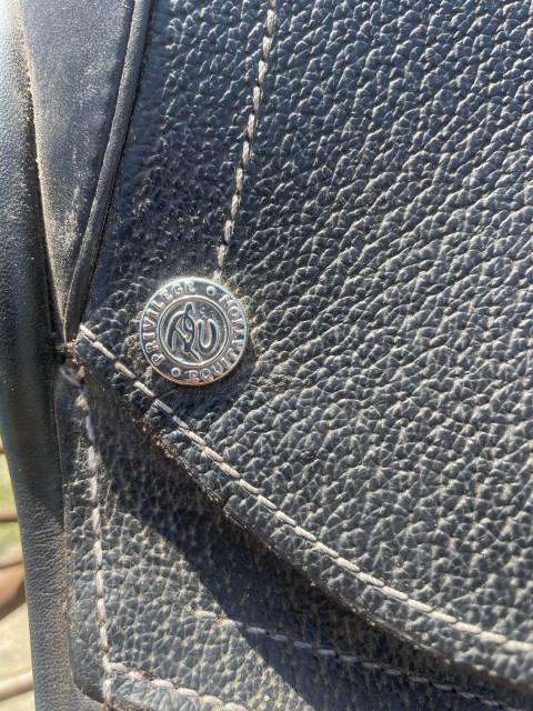 Sella mista Privil&egrave;ge Equitation  16.5" - 2023