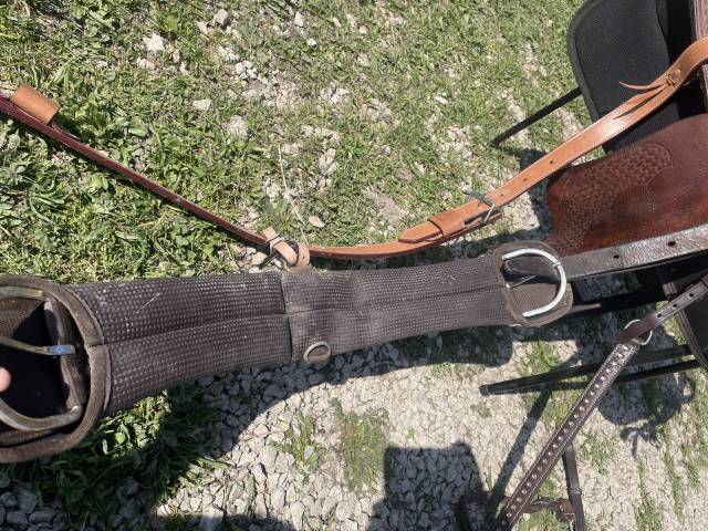 Sella western Pool's  15.5" - 2012