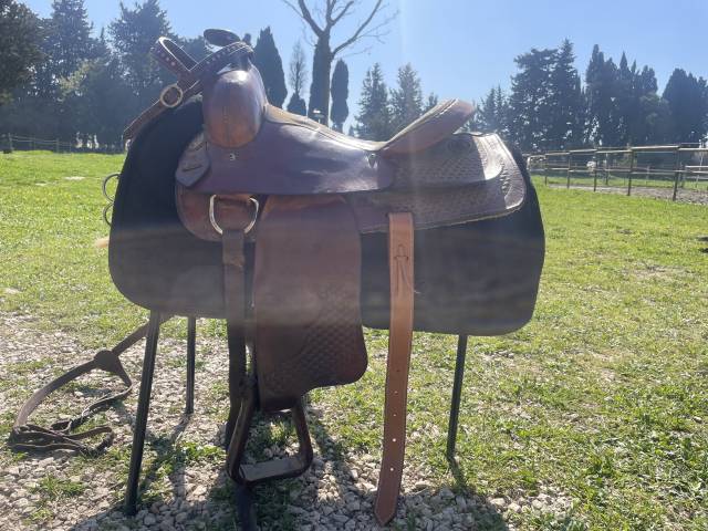 Sella western Pool's  15.5" - 2012