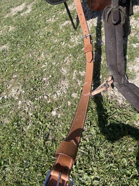 Sella western Pool's  15.5" - 2012