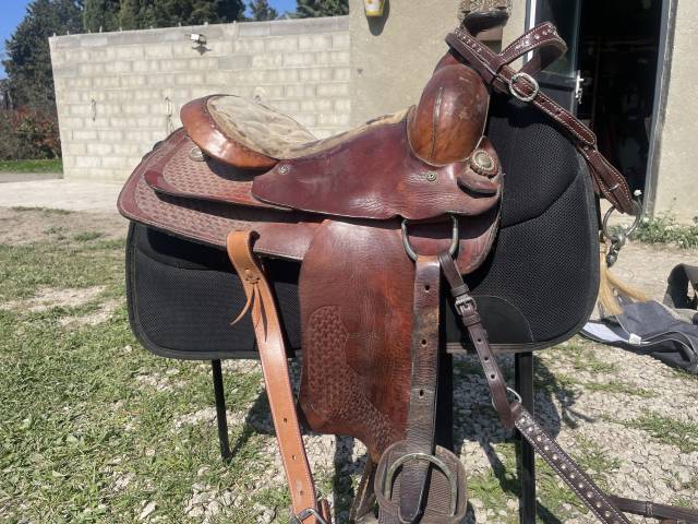 Sella western Pool's  15.5" - 2012