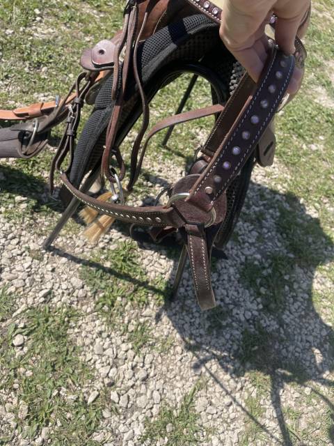 Sella western Pool's  15.5" - 2012