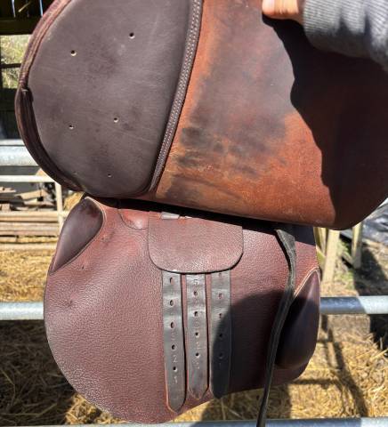 Sella da salto ostacoli   17" - 2020