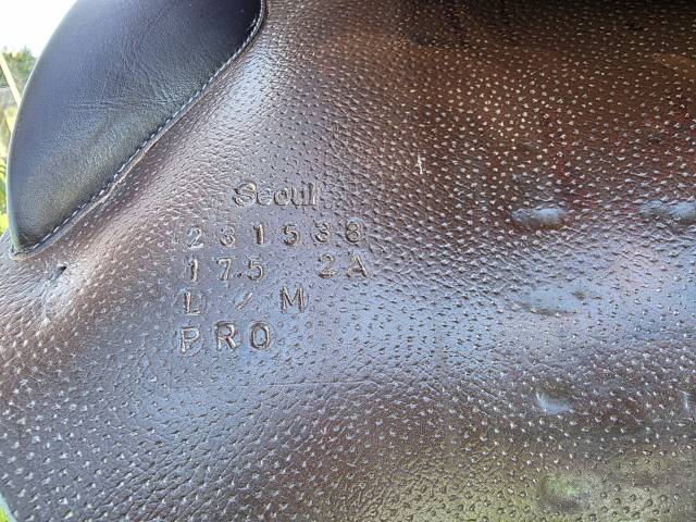 Sella mista Forestier  17.5" - 2023