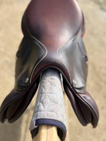 Sella da salto ostacoli CWD  17" - 2023