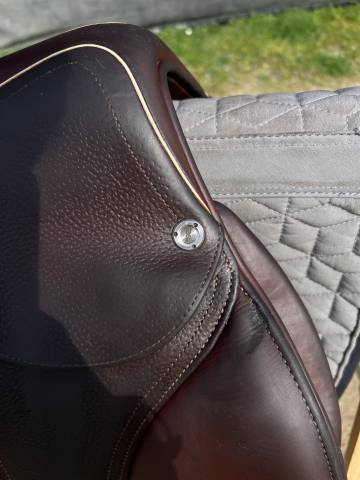 Sella da salto ostacoli CWD  17" - 2023