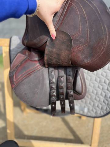 Sella da salto ostacoli CWD  17" - 2023