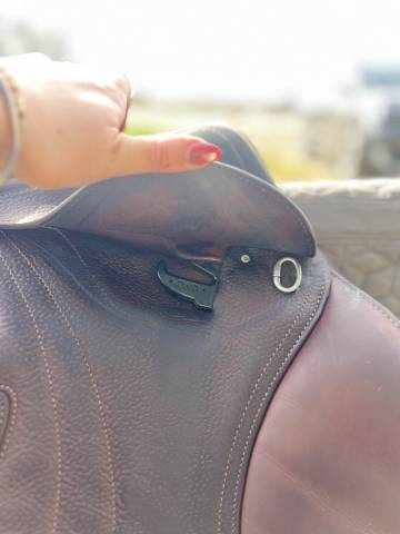 Sella da salto ostacoli CWD  17" - 2023