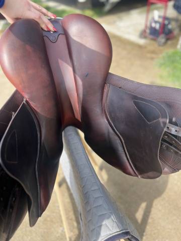 Sella da salto ostacoli CWD  17" - 2023