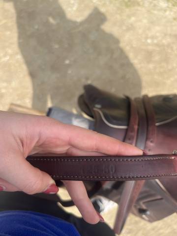 Sella da salto ostacoli CWD  17" - 2023