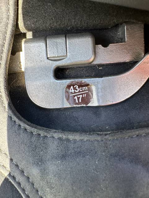 Sella da dressage Wintec  17" - 2015