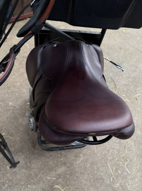 Sella da salto ostacoli Butet  17.5" - 2025