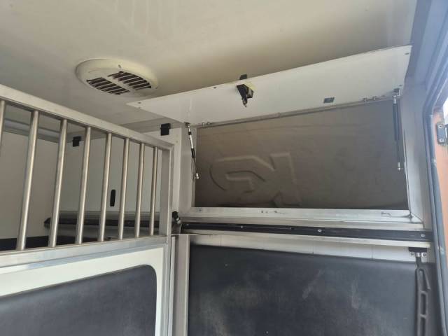 Van per Cavalli Krismar stalles 2017 Occasione