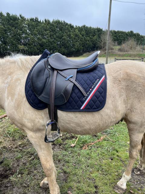 Sella da salto ostacoli Stubben  17.5" - 2020