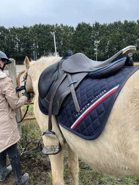 Sella da salto ostacoli Stubben  17.5" - 2020