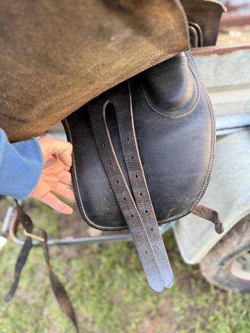 Sella amazzone   18" - 1996