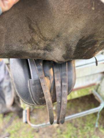 Sella amazzone   18" - 1996