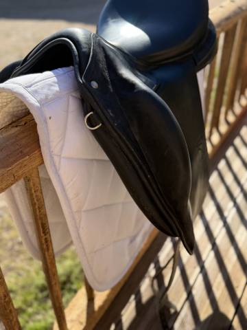Sella da dressage Childeric  17.5" - 2021