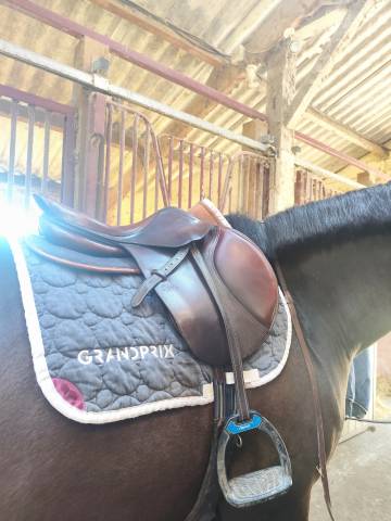 Sella da salto ostacoli CWD  16.5" - 2004