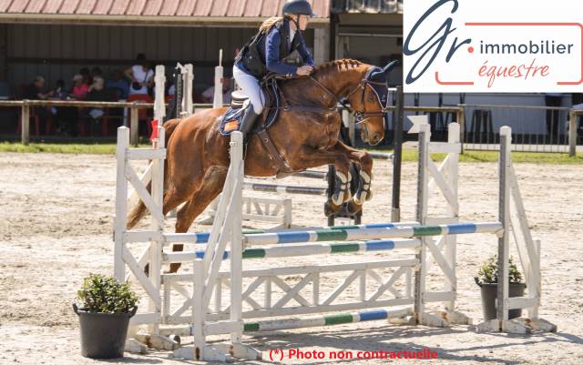 Centro ippico In vendita Deux-S&egrave;vres