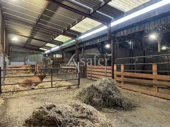Azienda agricola In vendita Maine-et-Loire