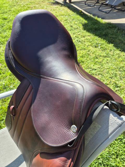 Sella da salto ostacoli CWD  17" - 2016