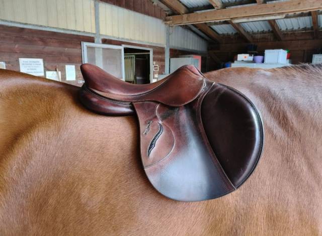 Sella da salto ostacoli Antar&egrave;s  18" - 2020