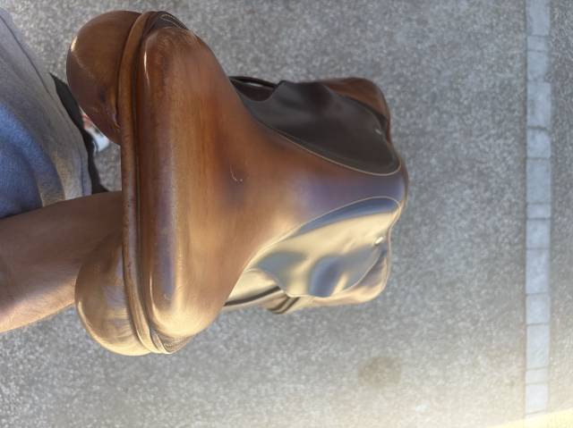 Sella da salto ostacoli Childeric  17" - 2017