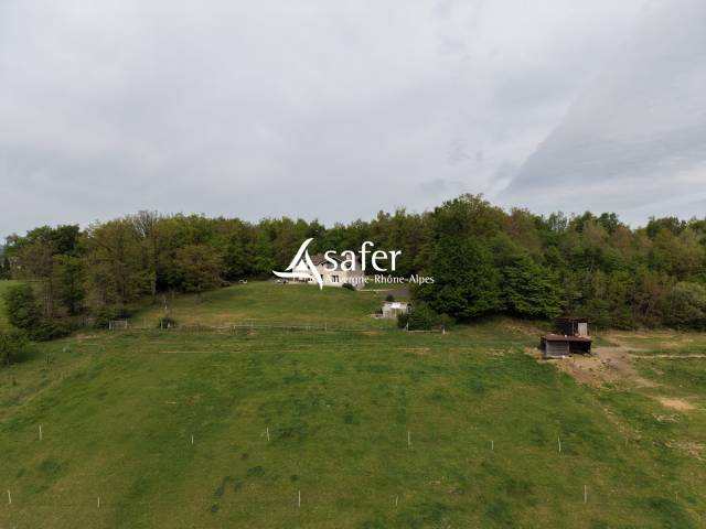 Azienda agricola In vendita Loire
