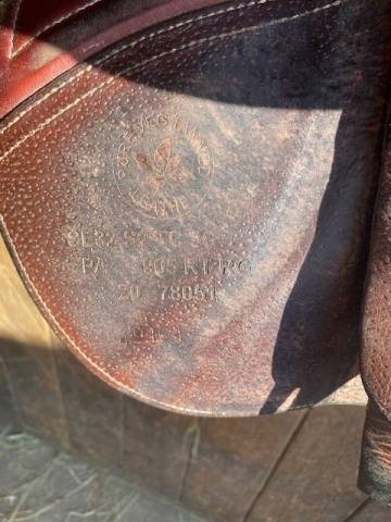 Sella mista CWD  17.5" - 2020