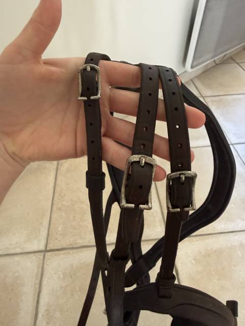  Antar&egrave;s Occasione