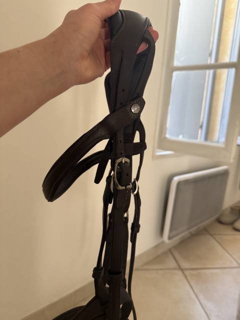  Antar&egrave;s Occasione