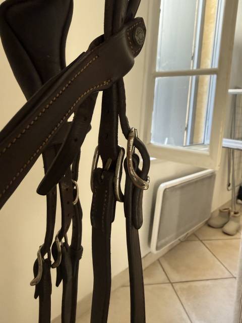  Antar&egrave;s Occasione