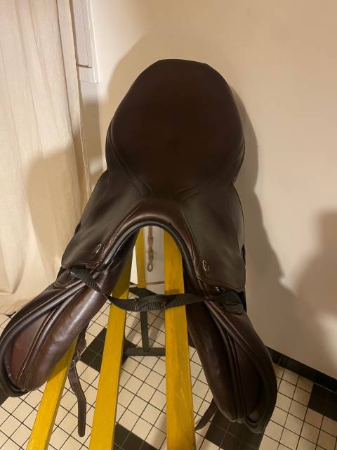 Sella da salto ostacoli Prestige Italia  17" - 2020