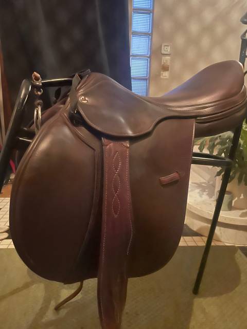 Sella da salto ostacoli Prestige Italia  17" - 2020