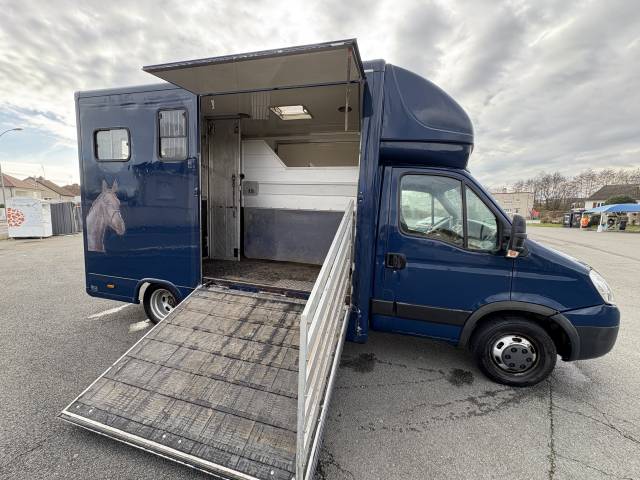 Van per Cavalli Iveco  2009 Occasione
