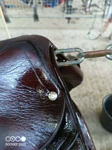 Sella da salto ostacoli CWD  17.5" - 2012