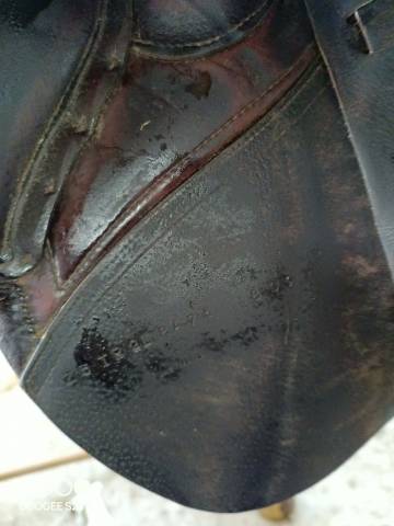 Sella da salto ostacoli CWD  17.5" - 2012